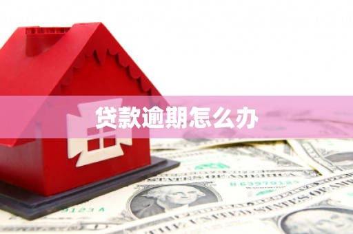 云安贷款逾期怎么办