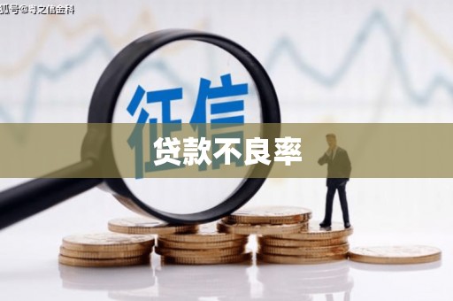 云安贷款不良率