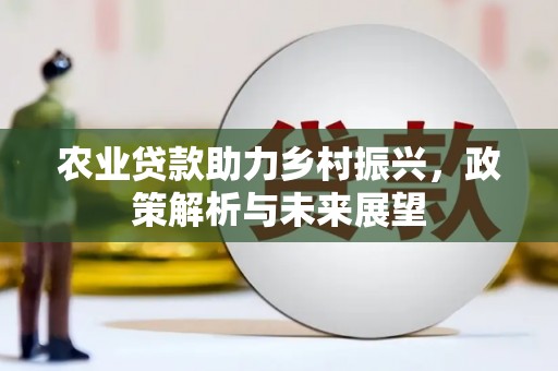 云安农业贷款助力乡村振兴，政策解析与未来展望