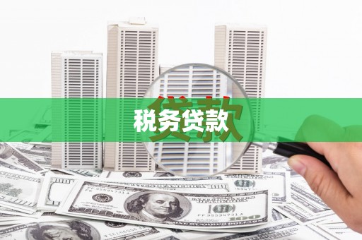 云安税务贷款