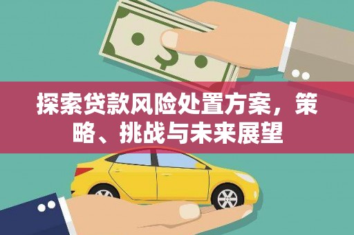 云安探索贷款风险处置方案，策略、挑战与未来展望