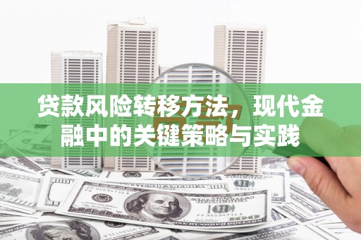 云安贷款风险转移方法，现代金融中的关键策略与实践