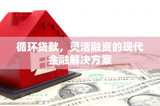 云安循环贷款，灵活融资的现代金融解决方案