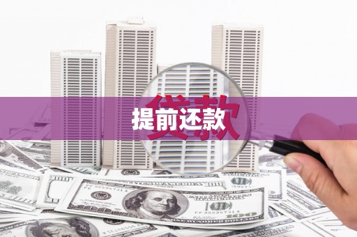 云安提前还款