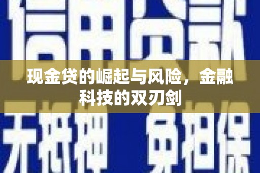 云安现金贷的崛起与风险，金融科技的双刃剑