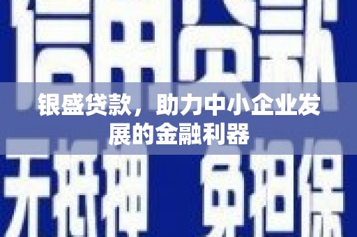 云安银盛贷款，助力中小企业发展的金融利器