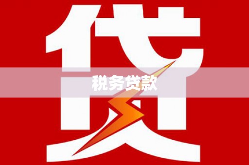 云安税务贷款