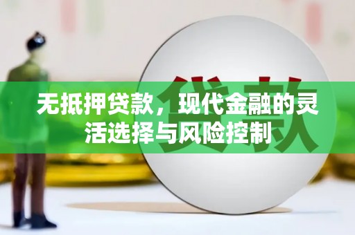 云安无抵押贷款，现代金融的灵活选择与风险控制