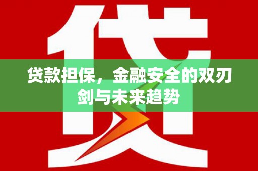 云安贷款担保，金融安全的双刃剑与未来趋势