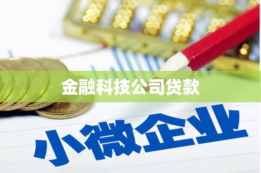 云安金融科技公司贷款