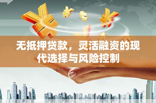 云安无抵押贷款，灵活融资的现代选择与风险控制