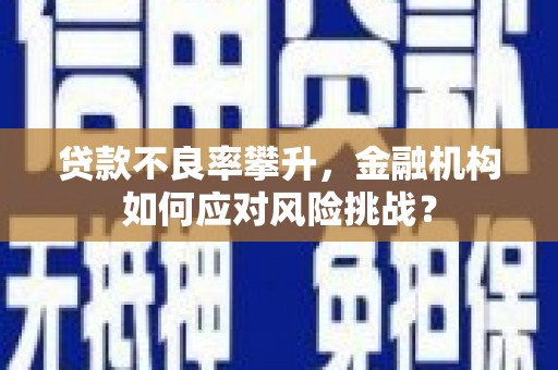 云安贷款不良率攀升，金融机构如何应对风险挑战？
