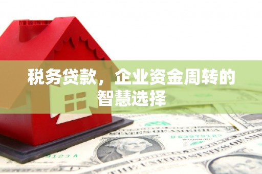 云安税务贷款，企业资金周转的智慧选择