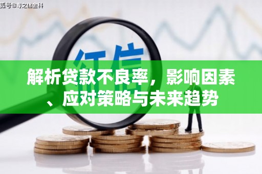 云安解析贷款不良率，影响因素、应对策略与未来趋势