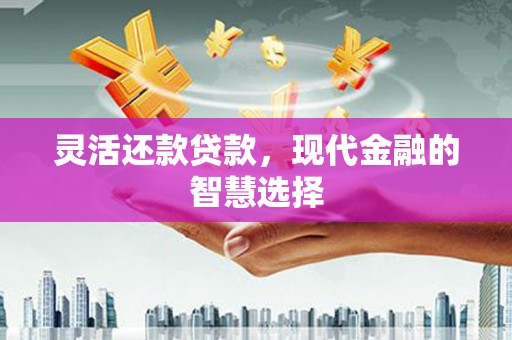 云安灵活还款贷款，现代金融的智慧选择