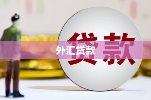 云安外汇贷款
