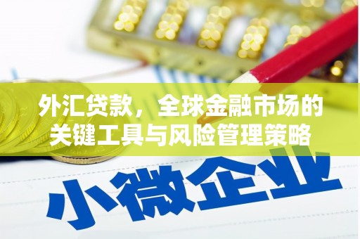 云安外汇贷款，全球金融市场的关键工具与风险管理策略