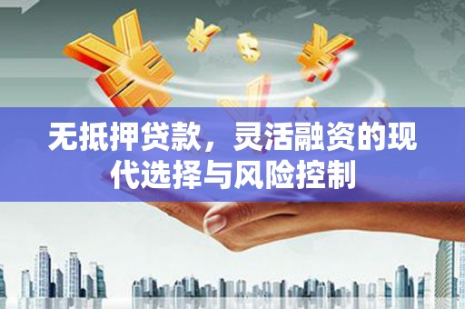 云安无抵押贷款，灵活融资的现代选择与风险控制