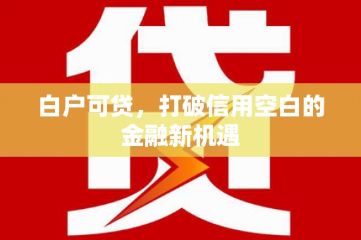 云安白户可贷，打破信用空白的金融新机遇