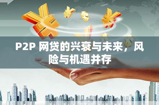 云安P2P 网贷的兴衰与未来，风险与机遇并存
