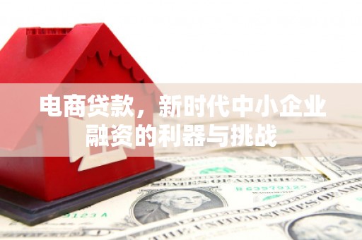 云安电商贷款，新时代中小企业融资的利器与挑战