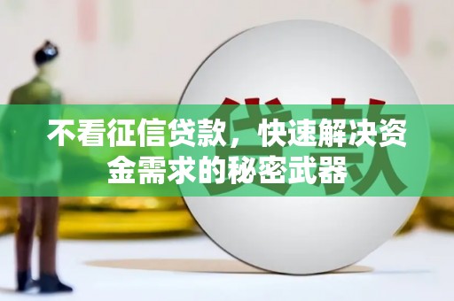 云安不看征信贷款，快速解决资金需求的秘密武器