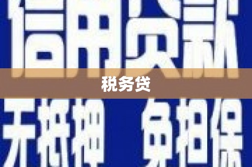 云安税务贷