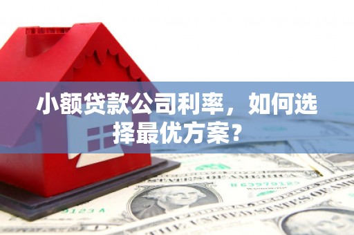 云安小额贷款公司利率，如何选择最优方案？