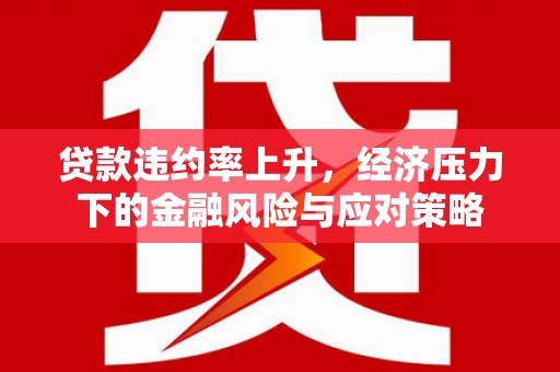 云安贷款违约率上升，经济压力下的金融风险与应对策略