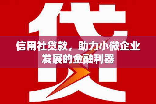 云安信用社贷款，助力小微企业发展的金融利器