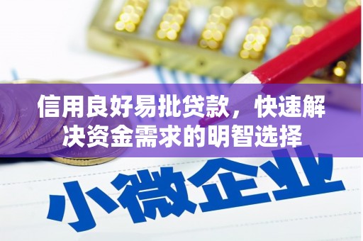 云安信用良好易批贷款，快速解决资金需求的明智选择