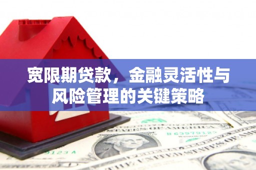云安宽限期贷款，金融灵活性与风险管理的关键策略