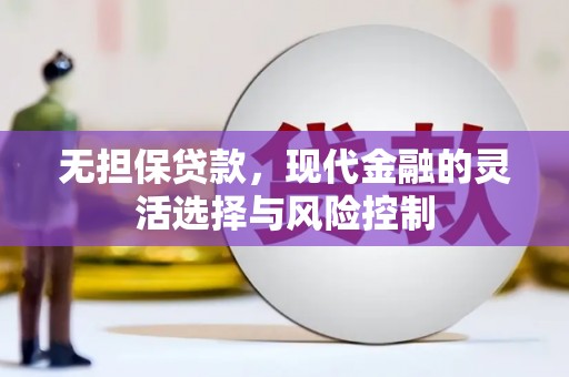 云安无担保贷款，现代金融的灵活选择与风险控制