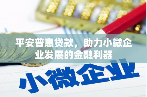 云安平安普惠贷款，助力小微企业发展的金融利器
