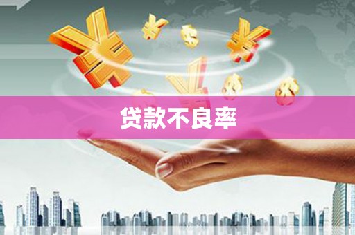 云安贷款不良率