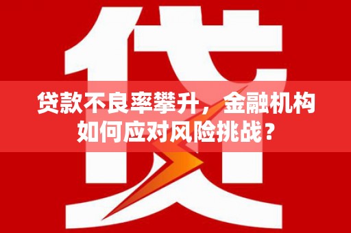 云安贷款不良率攀升，金融机构如何应对风险挑战？