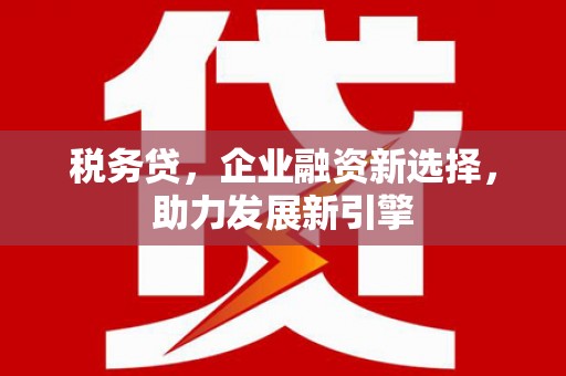 云安税务贷，企业融资新选择，助力发展新引擎