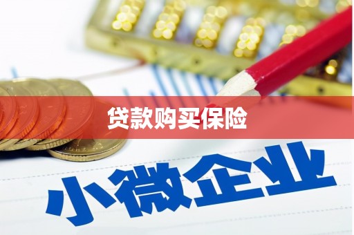 云安贷款购买保险