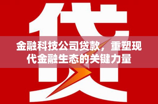 云安金融科技公司贷款，重塑现代金融生态的关键力量