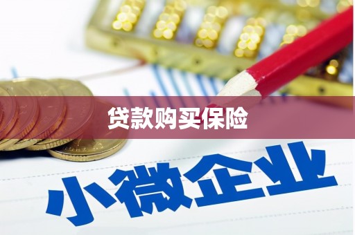 云安贷款购买保险
