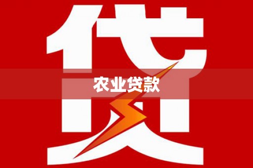 云安农业贷款