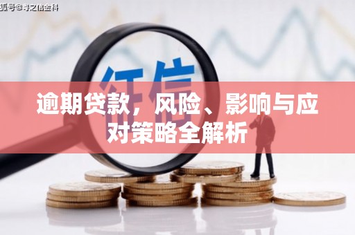 云安逾期贷款，风险、影响与应对策略全解析