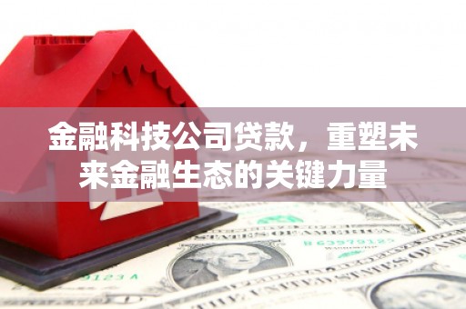 云安金融科技公司贷款，重塑未来金融生态的关键力量