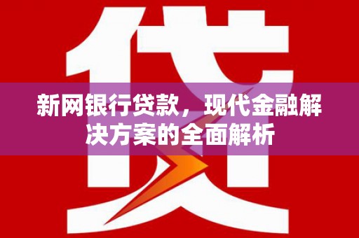 云安新网银行贷款，现代金融解决方案的全面解析