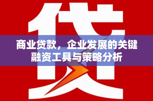 云安商业贷款，企业发展的关键融资工具与策略分析
