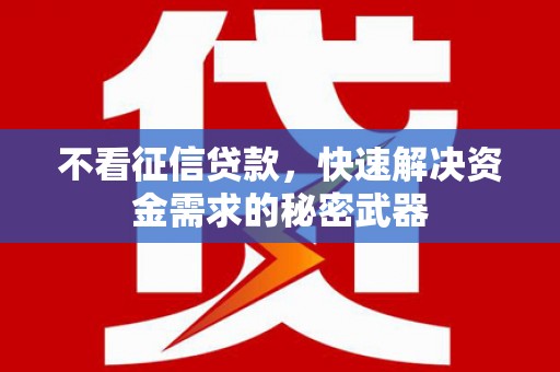 云安不看征信贷款，快速解决资金需求的秘密武器