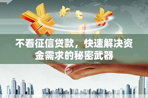 云安不看征信贷款，快速解决资金需求的秘密武器