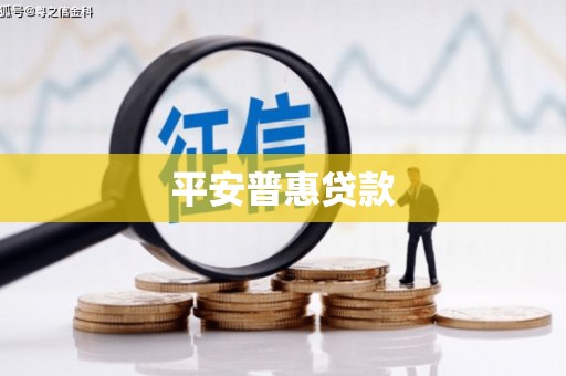 云安平安普惠贷款