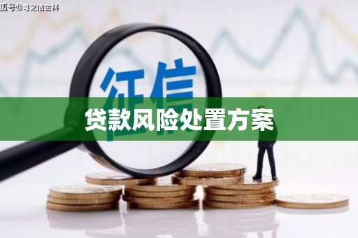 云安贷款风险处置方案