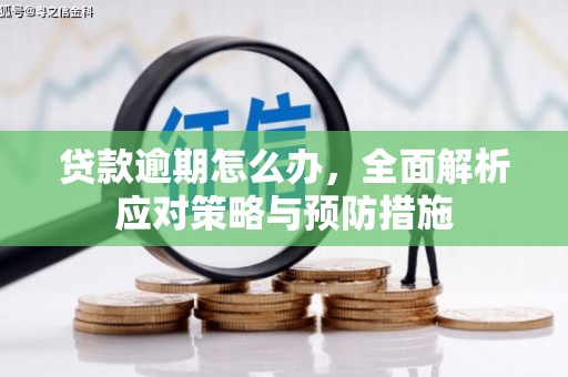 云安贷款逾期怎么办，全面解析应对策略与预防措施